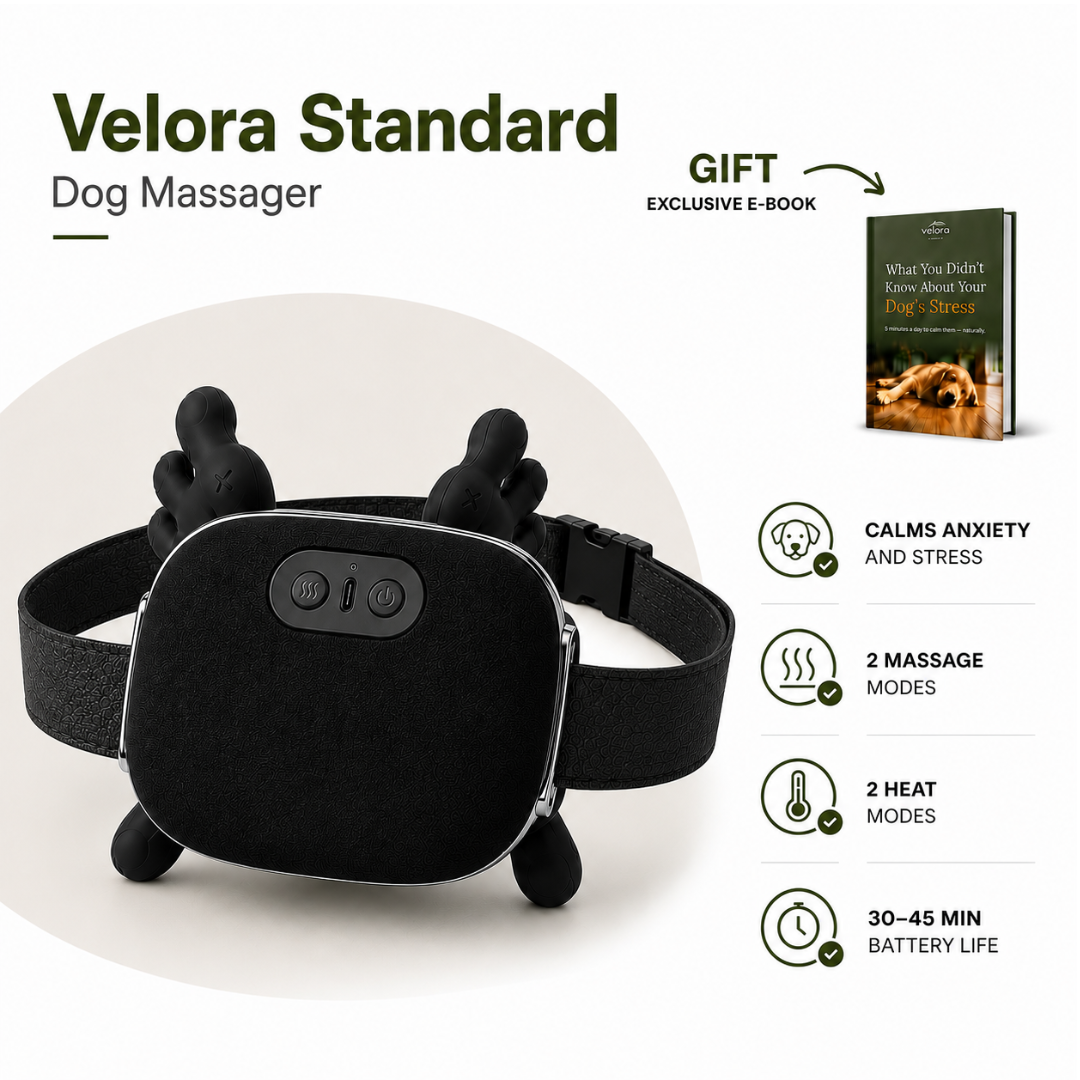 PawEase™ Calming Dog Massager